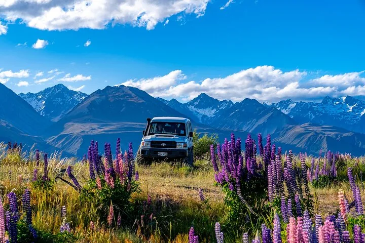 Ein 4WD-Fahrzeug geparkt in einem Feld voller violetter Lupinen mit Bergen im Hintergrund.